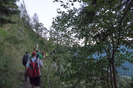Oberallgäu: Panoramaweg (Oberjoch)