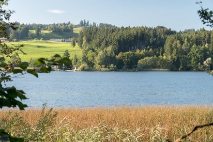 Oberallgäu: Tour (Niedersonthofen)