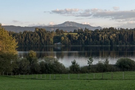 Oberallgäu:  (Niedersonthofen)