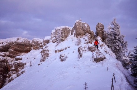 Oberallgäu: Von Balderschwang vorbei an der 2000-jährige Eibe zum Heidenkopf (Balderschwang)