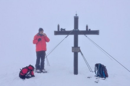 Oberallgäu: Von Reichenbach aus, auf den Schnippenkopf (Sonthofen)