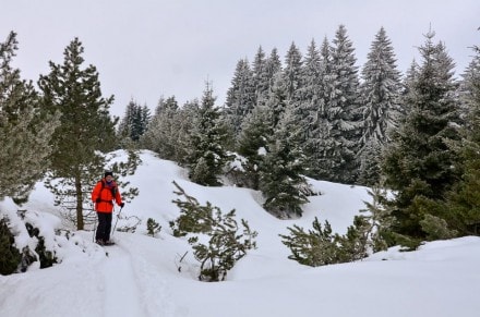 Oberallgäu: Klammweg, Räuberhöhle, Bockerstein und Alpkönigblick auf den Hauchenberg (Missen)