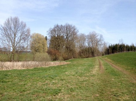 Oberallgäu: Tour (Dietmannsried)