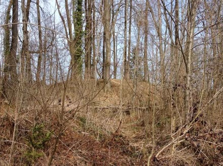 Oberallgäu: Burgstall Haslach Motte bei Probstried  (Dietmannsried)