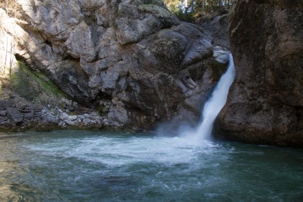 Oberallgäu: Von den Buchenegger Wasserfälle zum Hündlekopf (Oberstaufen)