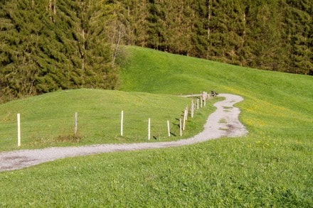 Oberallgu: Premiumwanderweg Buchenegger Wasserflle (Oberstaufen)