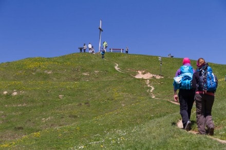 Oberallgäu: Vom Hündlekopf zu den Buchenegger Wasserfälle (Oberstaufen)