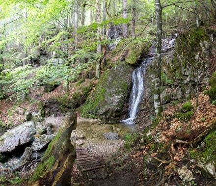 Tannheimer Tal: Reichenbachklamm (Pfronten)