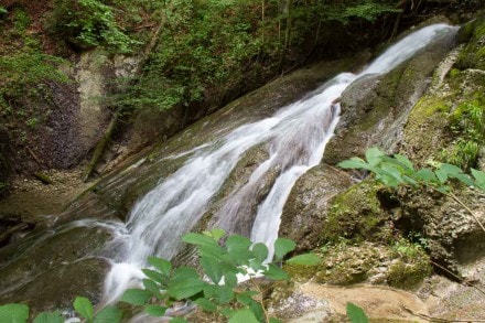 Oberallgäu: Haldertobel (Sonthofen)