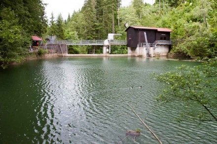 Oberallgäu: Meutehaus der Burg Ettensberg (Sonthofen)