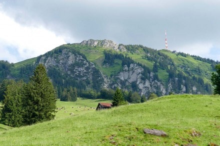 Über die Alpe Kammeregg auf den Grünten