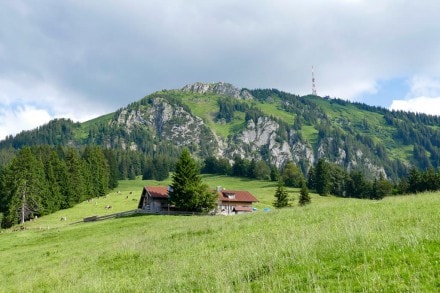 Oberallgäu: Alpe Kammeregg (1.133m) (Kranzegg)