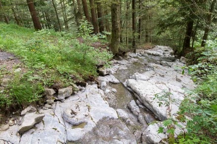 Voralberg: Grebentobel (Bezau)