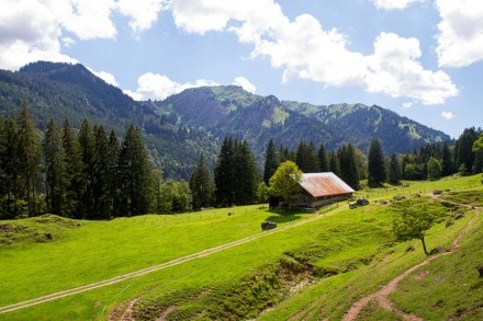 Oberallgäu: Vordere Wieslealpe (1.152m) (Gunzesried)