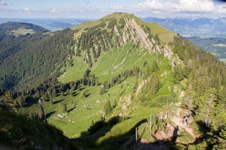 Oberallgu:  (Gunzesried)