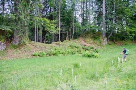 Oberallgäu: Vergessener Pfad (Gunzesried)