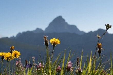 Tirol: Hochvogel (Reutte)