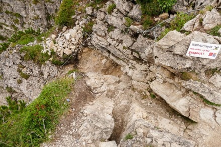 Oberallgäu: Salewa Klettersteig (Bad Hindelang)