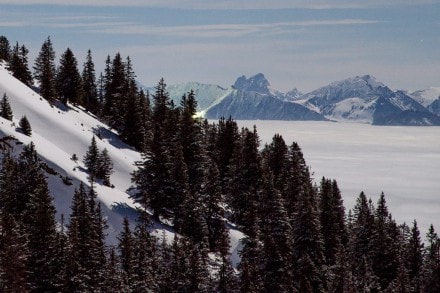Oberallgu: Winterrodelbahn - Staufner Haus (1.626m) (Oberstaufen)