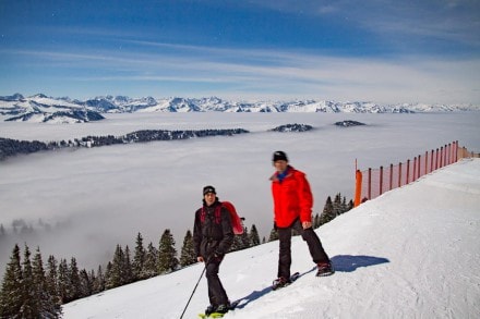 Oberallgäu:  (Oberstaufen)