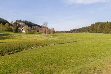 Westallgäu: Ein Wildfluss mitten im Allgäu (Isny)