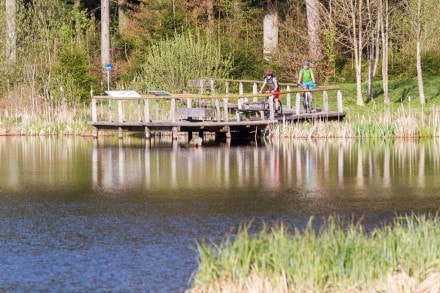 Westallgäu: Herbisweiher (Isny)