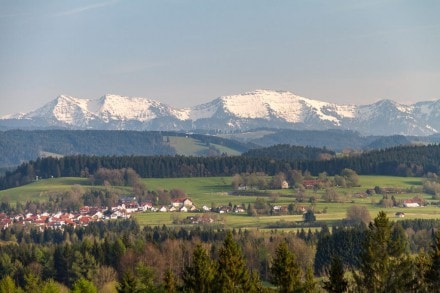 Westallgäu:  (Isny)