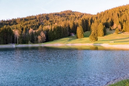 Tirol: Hhenweg-Teich (1.100m) (Jungholz)