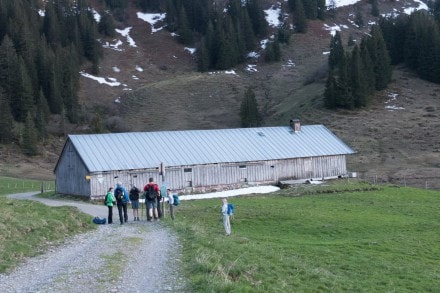 Oberallgäu: Oberalpe (1.386m) (Gunzesried)