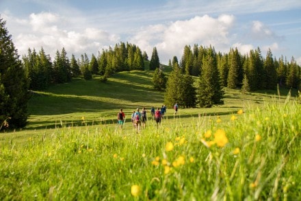 Oberallgäu:  (Gunzesried)