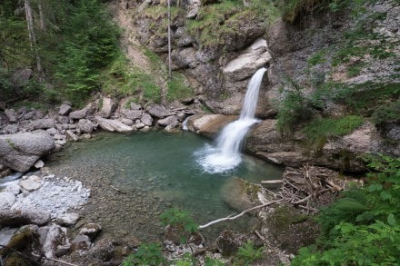 Oberallgäu:  (Gunzesried)