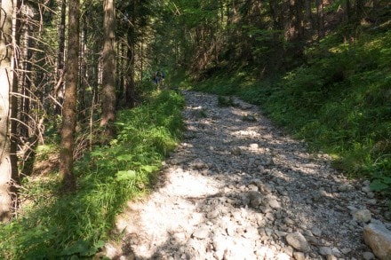 Ammergauer Berge: Schutzengelweg (Schwangau)