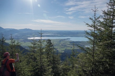 Ammergauer Berge: Pechkopf (Schwangau)