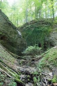 Oberallgäu: Alpenvereinsweg (Kempten)