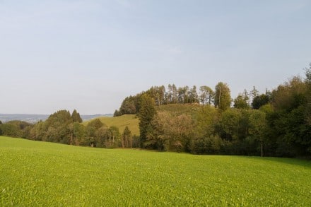 Oberallgu: Ettliser Burghalde (Niedersonthofen)