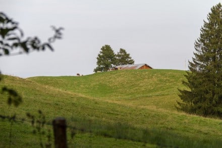 Oberallgäu: Wachters Alpe (Niedersonthofen)