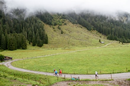 Kleinwalsertal: Biotop Galtde und Melkde (Riezlern)