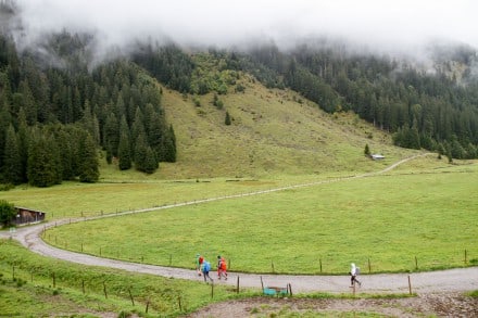 Kleinwalsertal: Biotop Galtöde und Melköde (Riezlern)