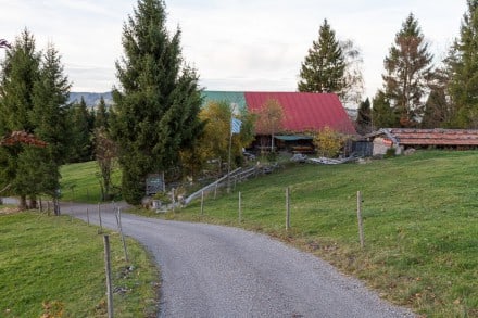 Oberallgäu: Alpe Hochberg (Immenstadt)