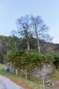 Oberallgäu: Findling bei der Alpe Rabennest (Immenstadt)