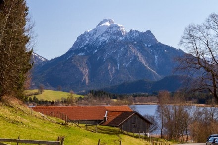 Vom Hopfensee zum Senkelekopf und zur Freie Republik Zwieselsberg