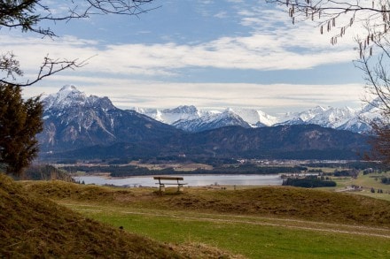 Ostallgäu: Vom Hopfensee zum Senkelekopf und zur Freie Republik Zwieselsberg (Hopfen am See)