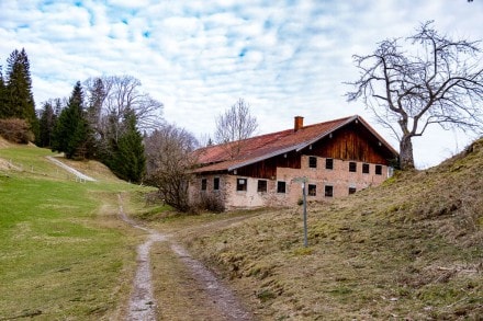 Ostallgäu: Senkele Alm (996m) (Hopfen am See)