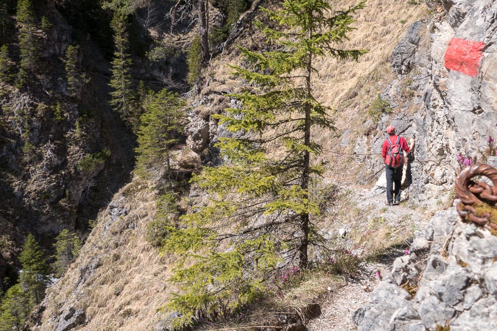 Wanderung in das Birkental und durch die Krottentalschlucht<br />(Nesselwängle - Tannheimer Tal / 2017)