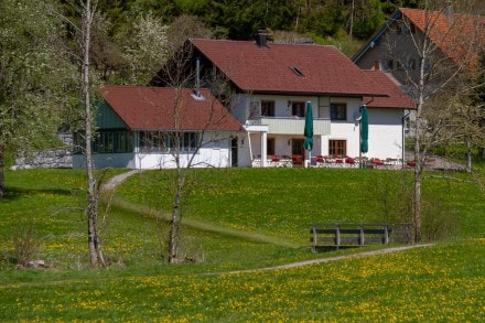 Westallgäu: Fuchsbauers Cafe Stube (Isny)