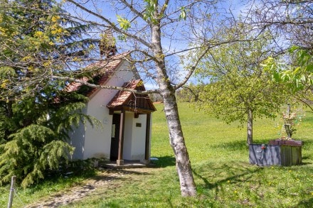 Westallgäu: Hofkapelle Neutrauchburg - Menelzhofer Berg (Isny)