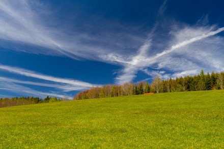 Westallgäu: Auf die Höhe Kapf bei Isny (Isny)