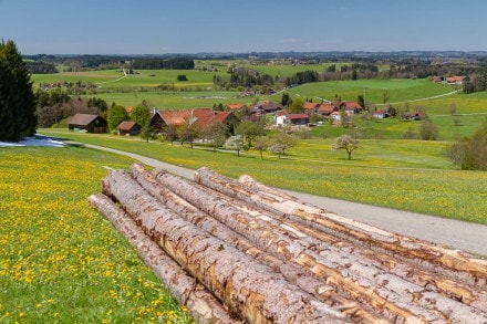 Westallgäu: Tour (Isny)