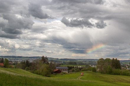 Kempten: Abendtour auf den Mariaberg und durch den Kalbsangsttobel (Kempten)