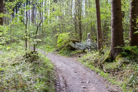 Kempten: Kreuzweg zum Mariaberg (Kempten)